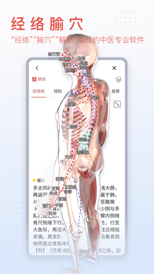 3Dbody解剖学手机版国产免费下载
