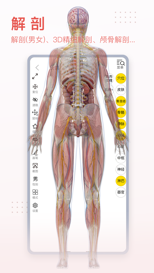 3Dbody解剖学app破解版软件下载