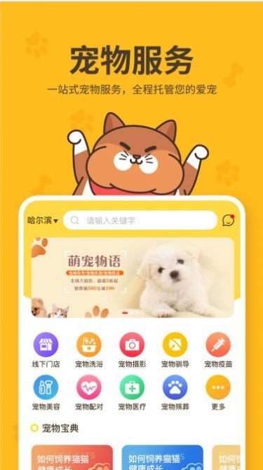 哈奇马宠物app免费安装下载